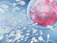 扬州试管婴儿费用明细及生育成本表