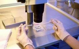 宁海县妇幼保健院做三代试管婴儿成功率高不高？什么因素可以影响