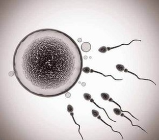 广州私立机构三代试管成功率及提升方法解析